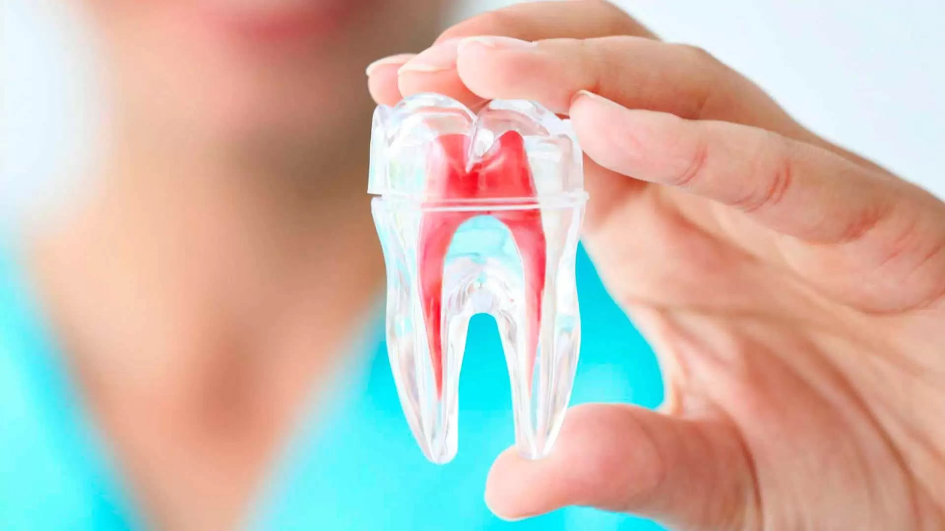 Endodontia